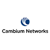 Cambium